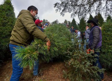 ¡Ya estamos en modo navideño!