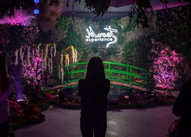 Monet & Friends: la otra dimensión de la pintura