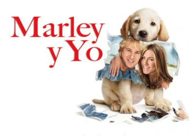 Películas de peludos sin hogar