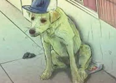 Libros e historias de patitas en calle