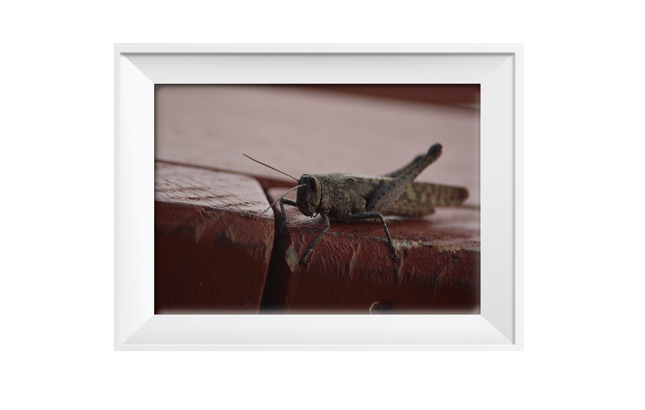 4-marco-shutterstock_1716902611