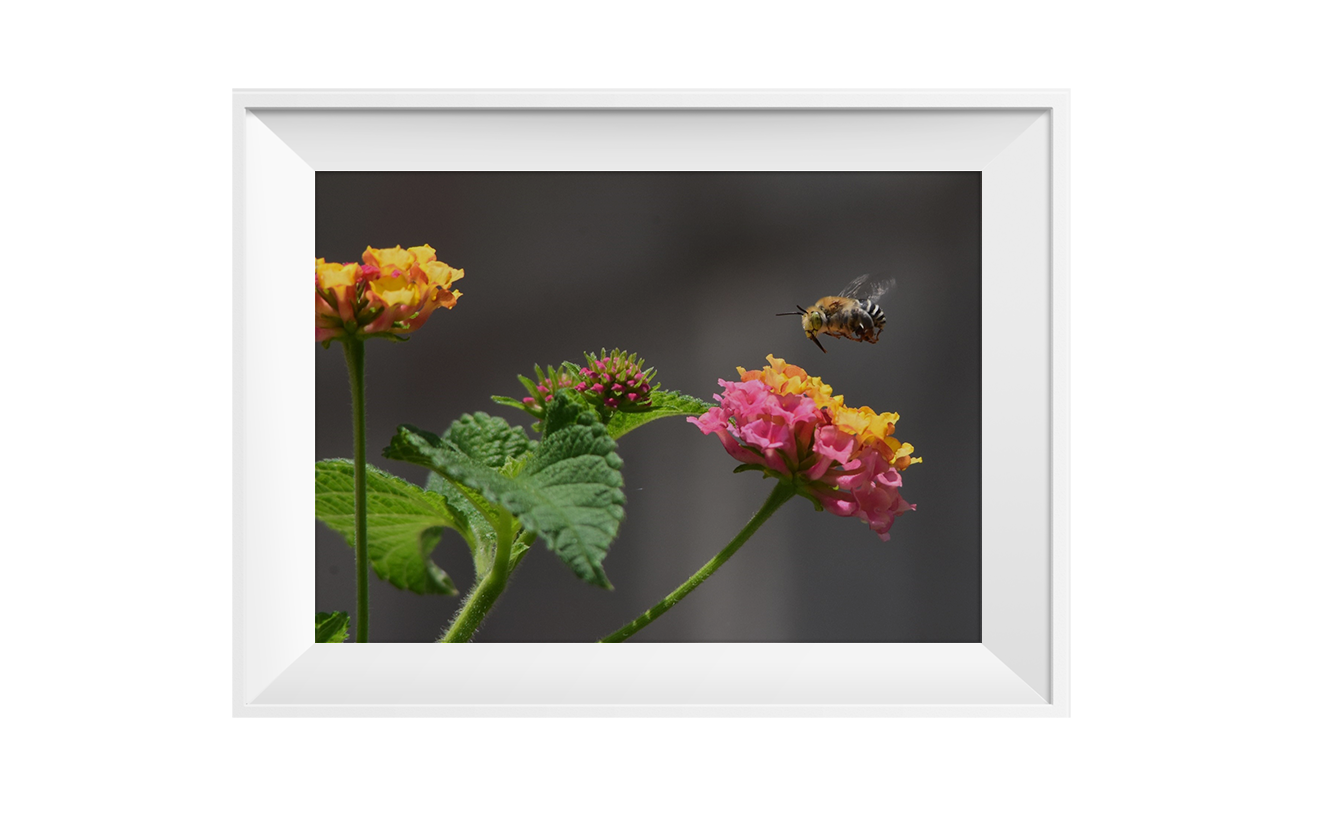 5marco-shutterstock_1716902611