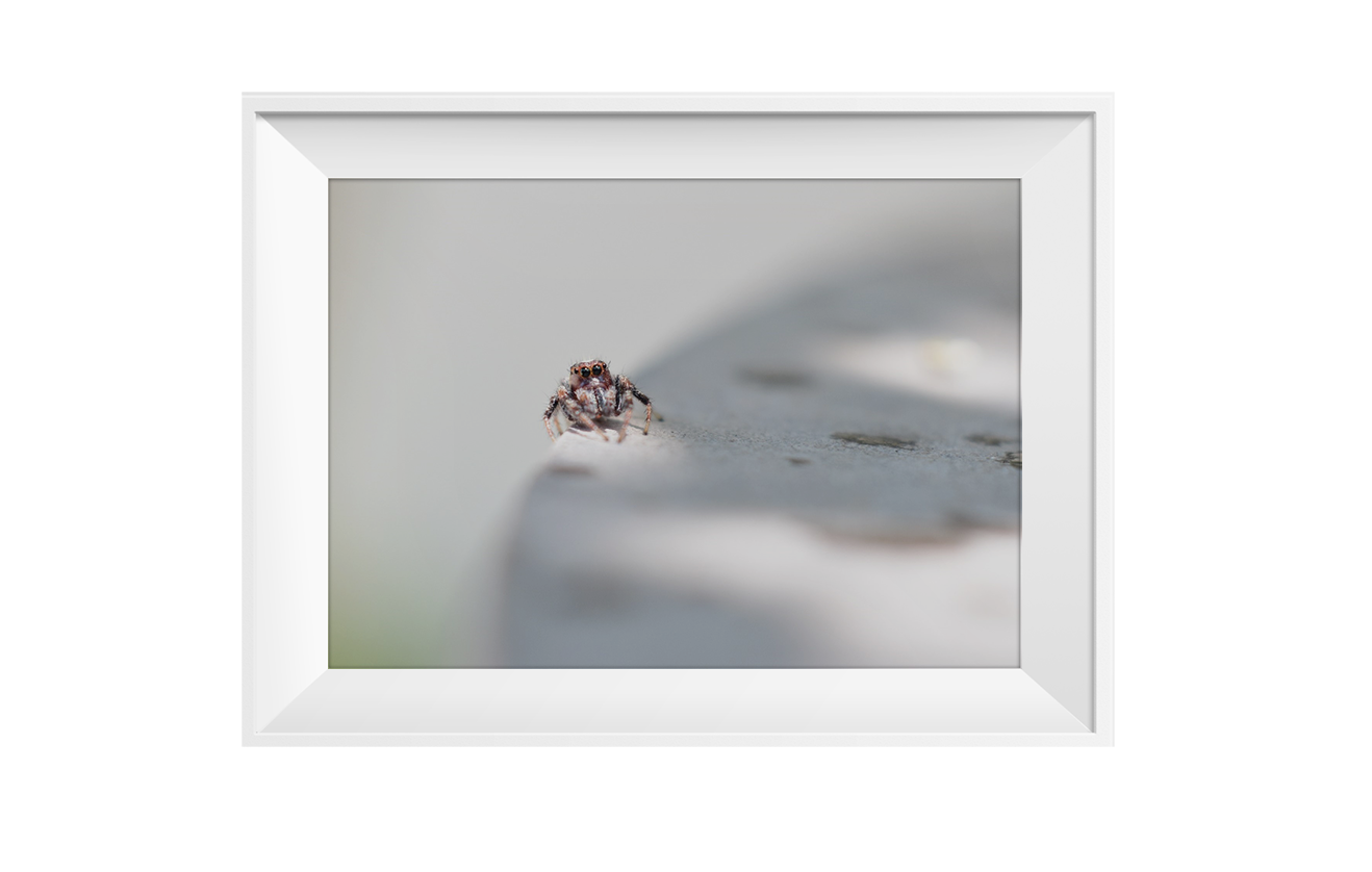 7-marco-shutterstock_1716902611