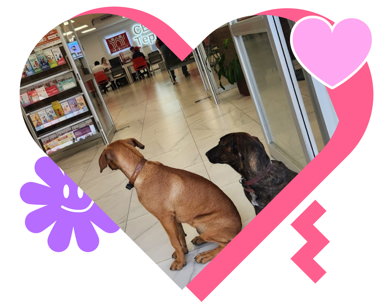 B-elementos-blog-24924--05