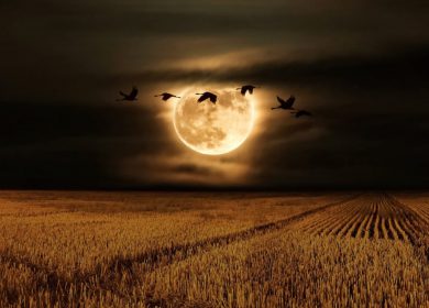 La belleza oculta de la Luna