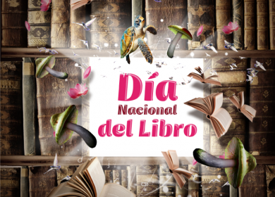 Los diarios ocultos de la Binavi